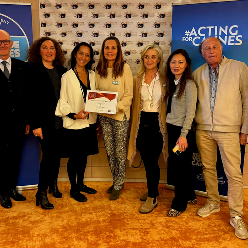 Palme d&rsquo;OR : République des Arts récompensée par la Fondation Creative Tourism Network avec le prix à la Meilleure stratégie de Tourisme Créatif.